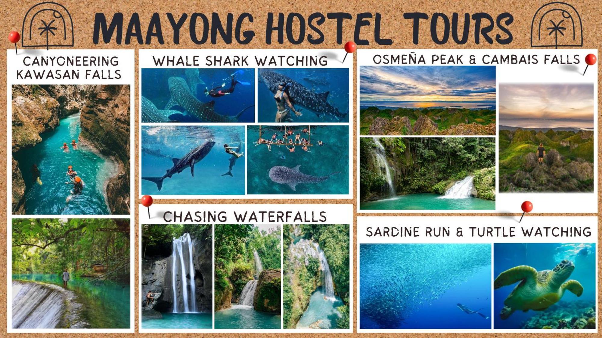 Maayong Hostel (Adults Only) Моалбоал Екстер'єр фото